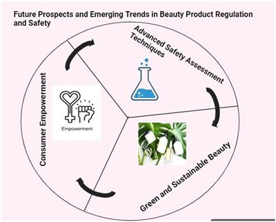 The dark side of beauty: an in-depth analysis of the health hazards and toxicological impact of synthetic cosmetics and personal care products